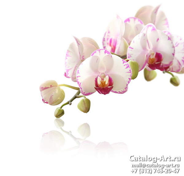картинки для фотопечати на потолках, идеи, фото, образцы - Потолки с фотопечатью - Розовые орхидеи 5
